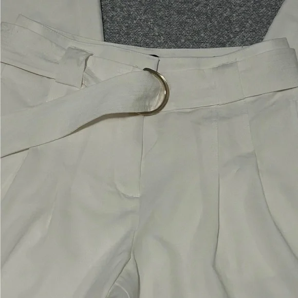 Ann Taylor The Belted Wide-Leg Pant in Linen Blend - Picture 5 of 8